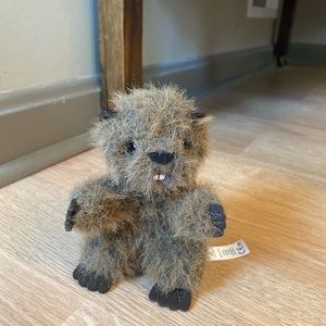 American Girl Doll Kaya’s Beaver